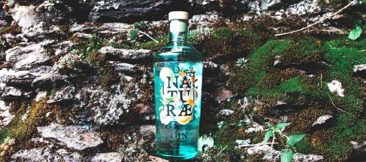 naturae-gin-fructetum