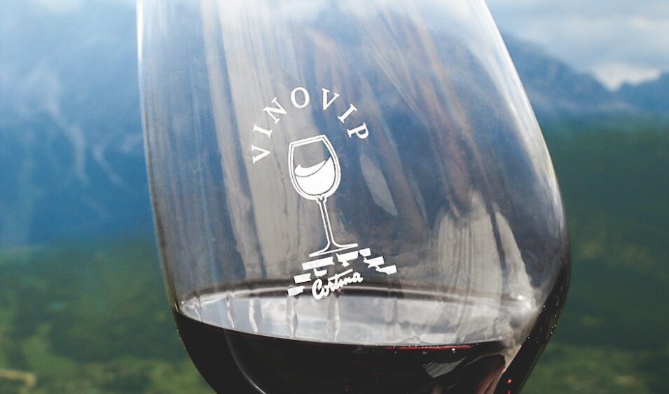 VINOVIP